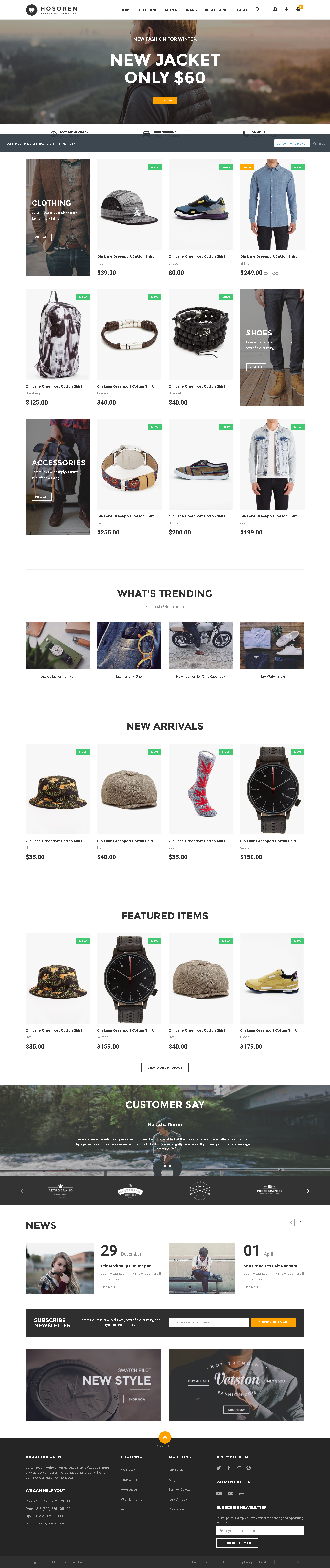 5 Best SHOPIFY Premium Themes Collection for RETAIL Store 2017 -Hosoren - Responsive Shopify Theme