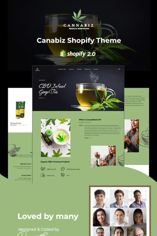 Download Cannbiz - Medical Marijuana Shopify Theme - Best Shopify Themes for blog page setup