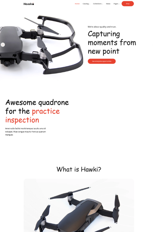 Download Hawki - Single Product Shopify - Best Shopify Themes for One Page Shopify store